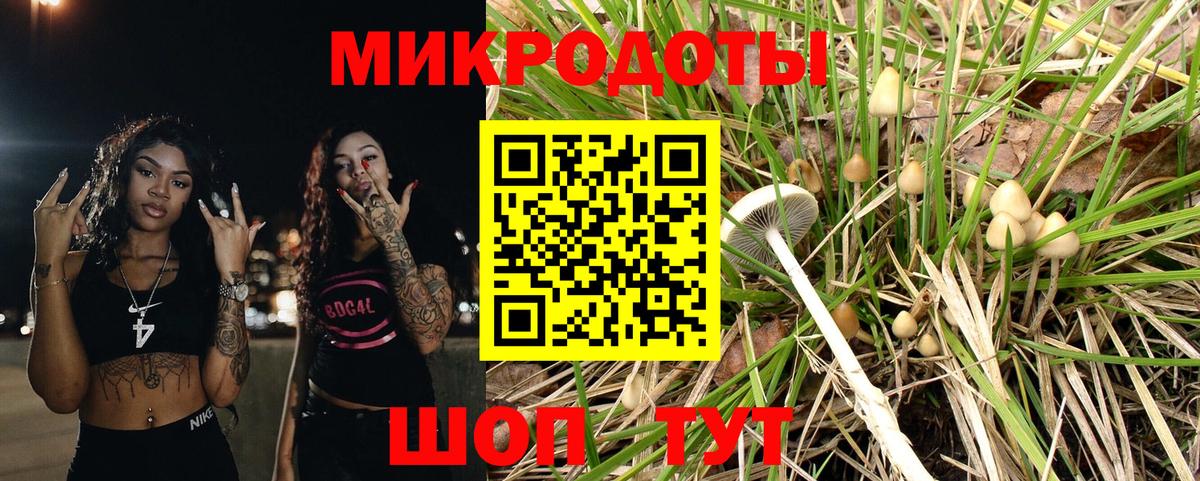 Туапсе  Псилоцибиновые грибы Psilocybe  Вход с VPN 